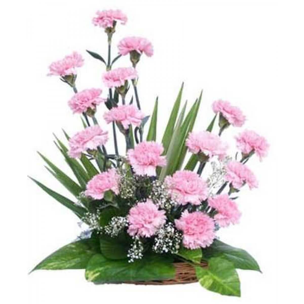  basket-arrangement-of-20-pink-carnations