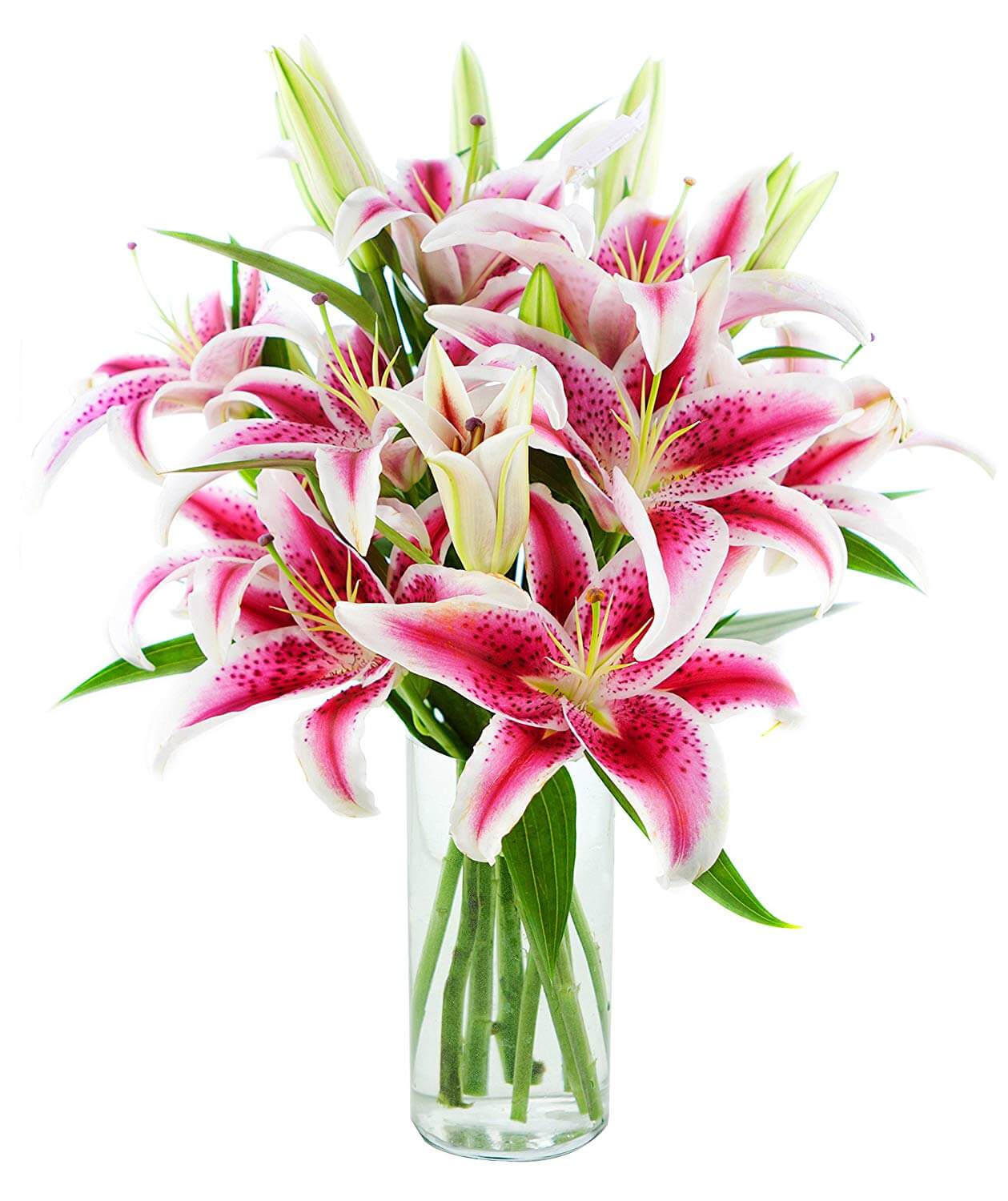  pink-lilly-vase