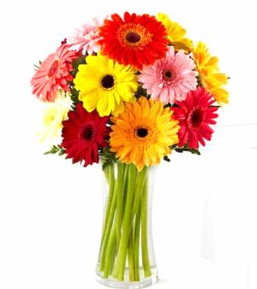  10mix-garbera-bouquet-with-vase