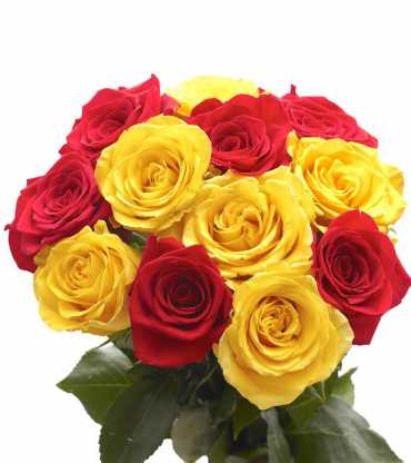 15-Red-Yellow-Roses-Bunch