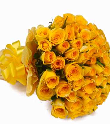 BUNCH-OF-50-YELLOW-ROSES