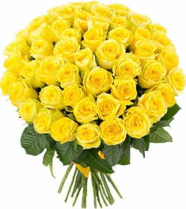 Beauty-of-100-Yellow-Roses