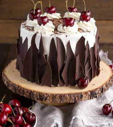  Black Forest Cheese Cake With Chocolate Shavings