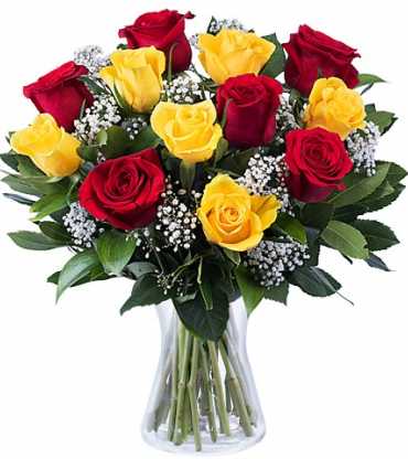 6-yelow-roses-6-red-roses