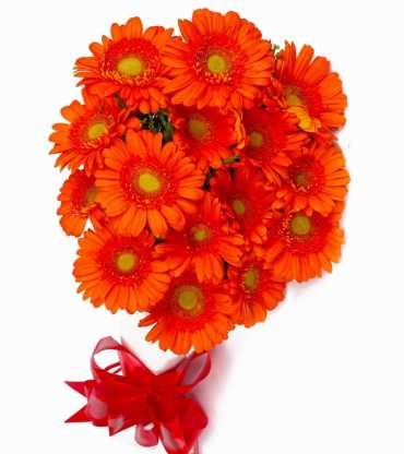 orange-geberas