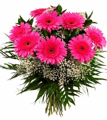 PINk-GARBERA-BOUQUET