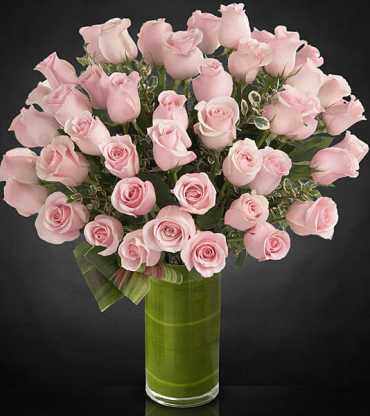 Peach-20Roses-20In-20Vase