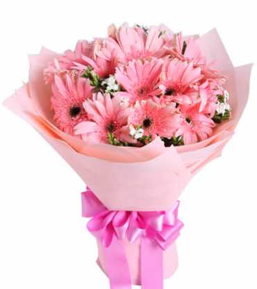 pink-gerberas