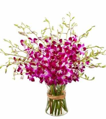 https://www.cakegift.in/pink-orchid-vase