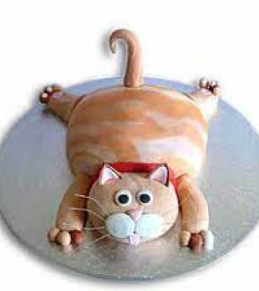 Tabby Cat Cake