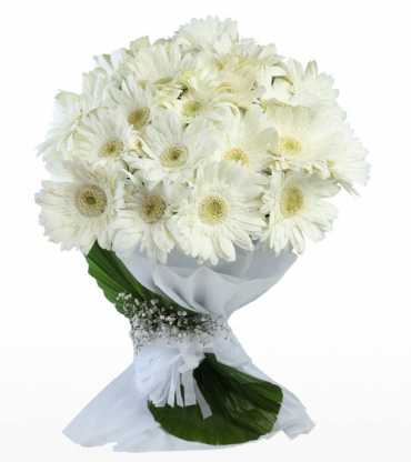  White-Gerberas-Bouquet