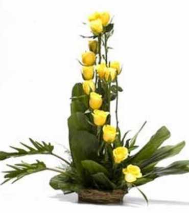 arrangement-of-12-yellow-roses