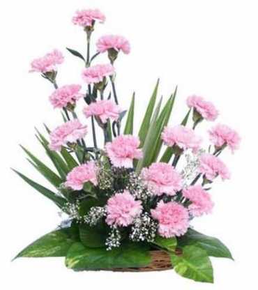  basket-arrangement-of-20-pink-carnations