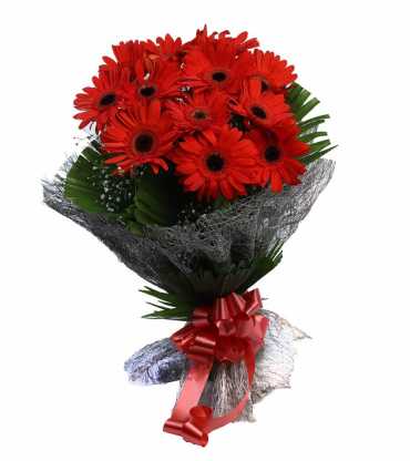 bunch-of-12-red-gerberas