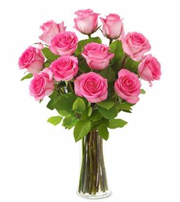 pink-rose-vase