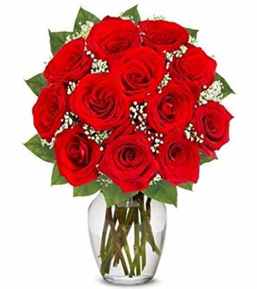 red-20roses-20with-vase