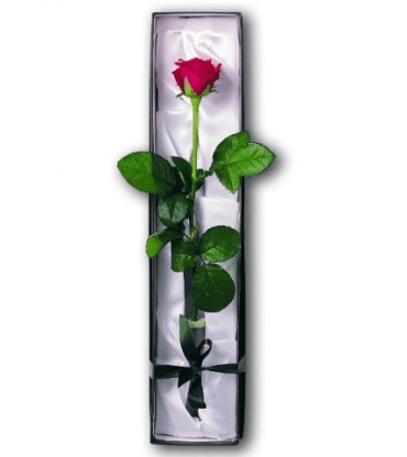 Luxury-Single-Red-Rose