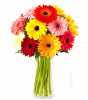  10mix-garbera-bouquet-with-vase