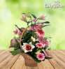 Anthurium-20-Lilly-20-Basket