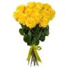 yellow-roses