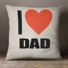 I love Dad Cushion