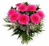 PINk-GARBERA-BOUQUET