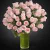 Peach-20Roses-20In-20Vase