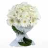  White-Gerberas-Bouquet