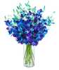 blue-20orchid-20with-20vase