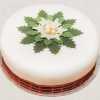 starry delight-christmas cake