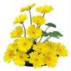 yellow-carnation-20arrangement