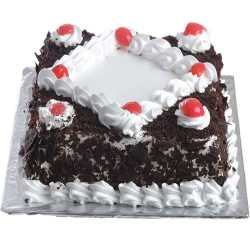 Black Forest Square Cake